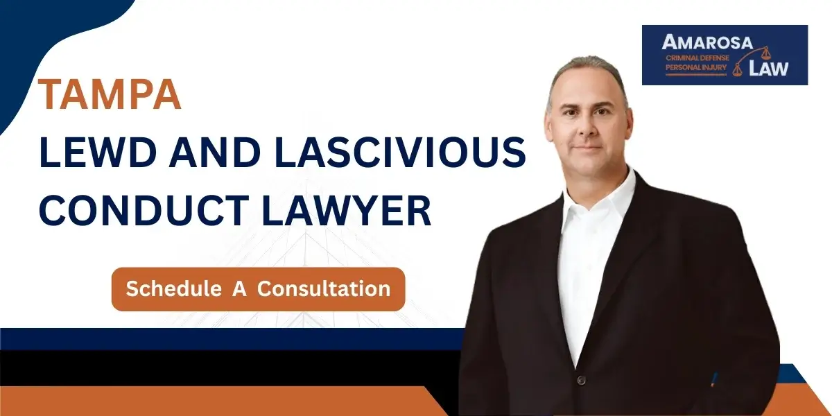 tampa lewd and lascivious conduct lawyer