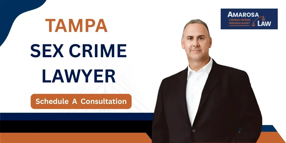 tampa sex crime lawyer