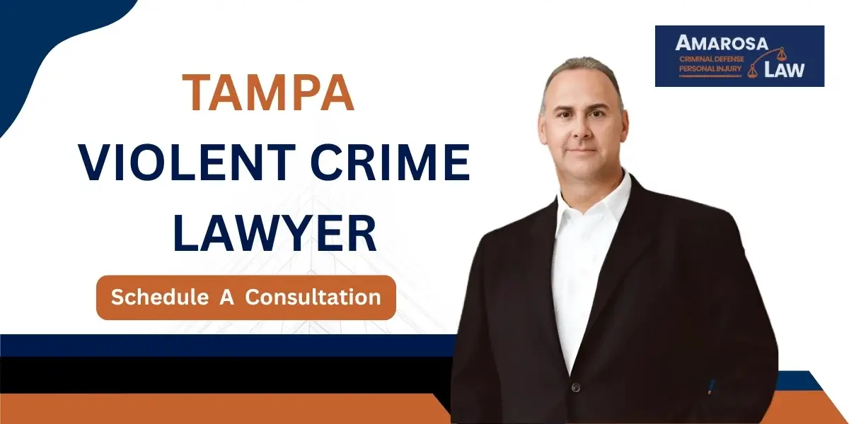 tampa violent crime lawyer