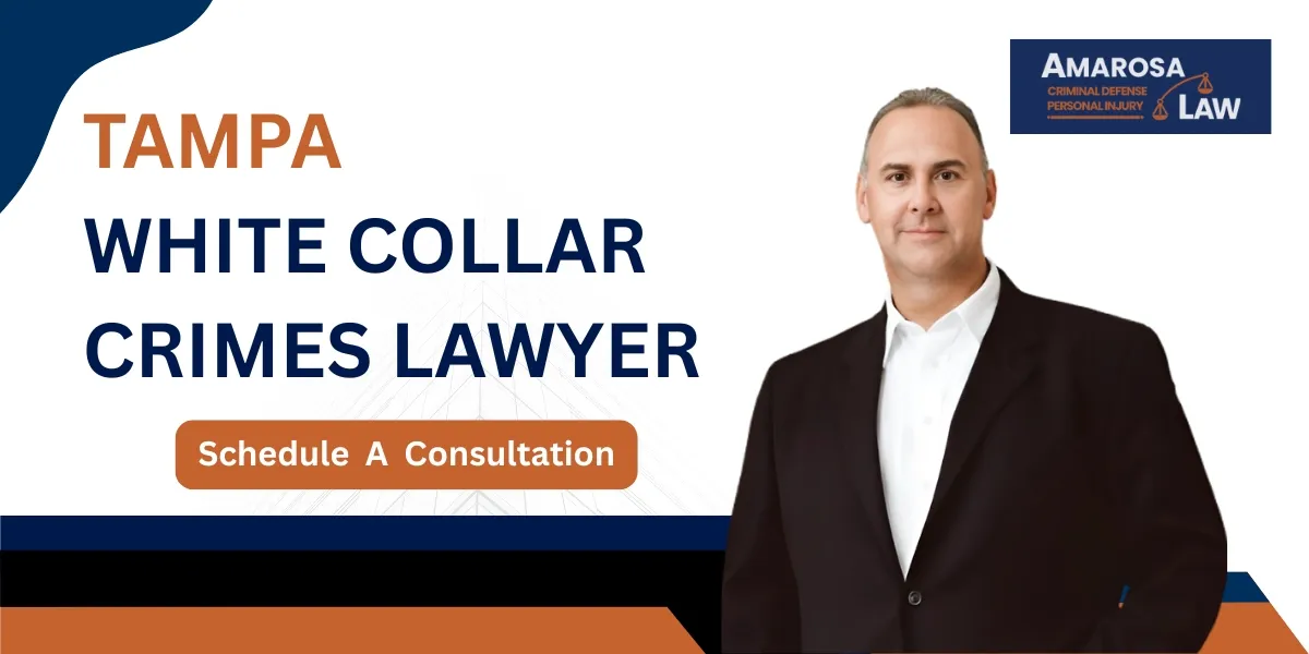 Hire a trusted Tampa White Collar Crimes Lawyer to defend complex financial cases