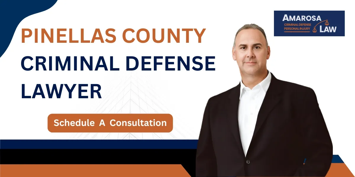 Hire a Pinellas County Criminal Defense Lawyer to Protect Your Rights and Defend Against Criminal Charges